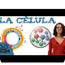 Partes de la CÉLULA - Tipos de