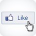 FB Fan Page-WP Free Premium