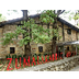 Museo Zumalakarregi