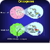 2.1 Proto-oncogenes Y Oncogene