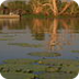 Kakadu Wetland