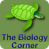 Biology Corner