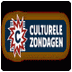 culturelezondagen.nl