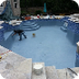Swimming Pool Leak Detection
