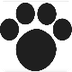 Tiger Web Portal