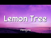 Lemon Tree - Fools Garden (Lyr
