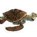 Las tortugas | Algarabía niños