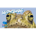 Amphibians | Educational Video