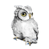 NC Wise Owl Wise Owl