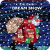 Dream Snow - By Eric Carle