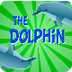 The Dolphin | Educational Vide