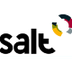 SALT-DICCIONARIO TRADUCTOR VAL