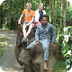 Bali Elephant Cam