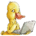 Digiduck’s Big Decision