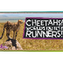 Cheetahs: The Fastest Runners 
