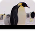 Penguins 