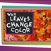 Why Do Leaves Change Colors in