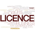 Software License Management