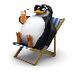 Blog  Le Pingouin