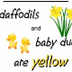 Color Y-E-L-L-O-W yellow song 