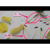 VÍDEO:LES PARTS DE LA FLOR