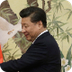 Xi Jinping 