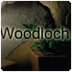 thelodgeatwoodloch.com