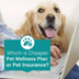 Pet Wellness Vs Insurance