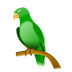 Science for Kids: Rainforests
