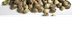 Get all varieties cannabis see