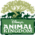 ANIMAL KINGDOM