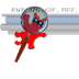 IrfanView