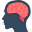 Memory & the Brain 