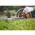 Don’ts of Trimming a Tree