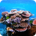 Great Barrier Reef: Endangered