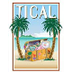 TICAL Tech Info Admin Leaders