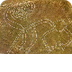 Nazca Lines 2