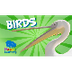 Birds | Educational Video for 