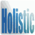 holisticjunction.com