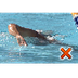Swimming Injuries | Swimming I