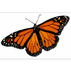 NatGeo Monarch Migration