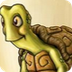 The Tortoise & the Hare