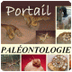 paléontologie