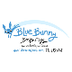 The Blue Bunny: Books Art Toys