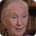 Jane Goodall Interview -- Acad