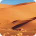Desert Biome Video