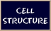 Biology4Kids.com: Cell Structu