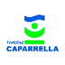 Institut Caparrella | Lloc web