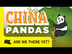 China: Pandas - Travel Kids in