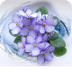 African Violet